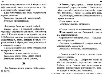 Чемодан лексический разбор 6 класс