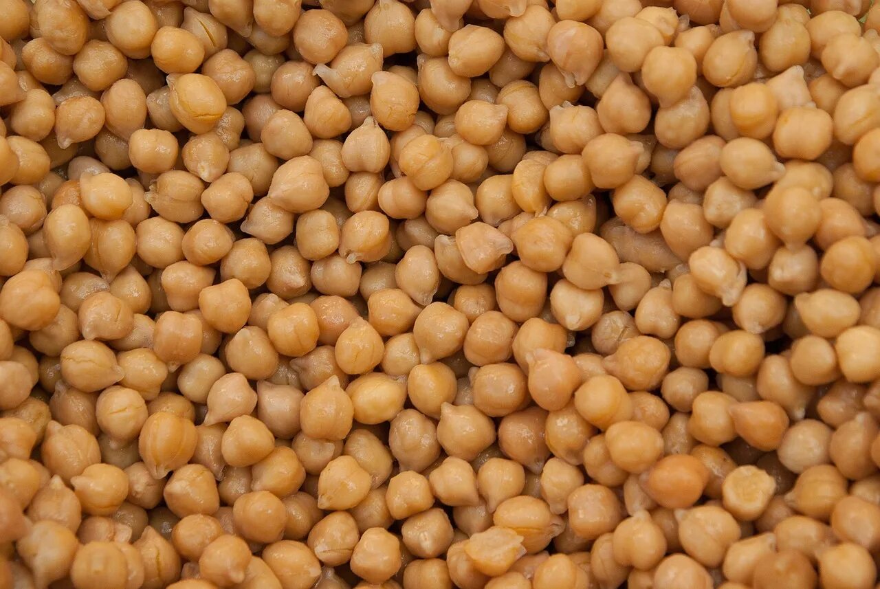 Нут сев. Горох нут растение. нут chickpeas. нут (турецкий горох). нохат горох.