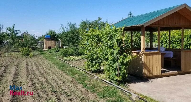 Дача волгарь