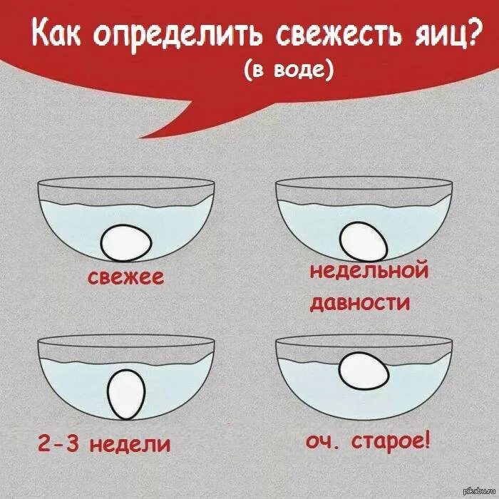 Как проверить испортилось яйцо или нет