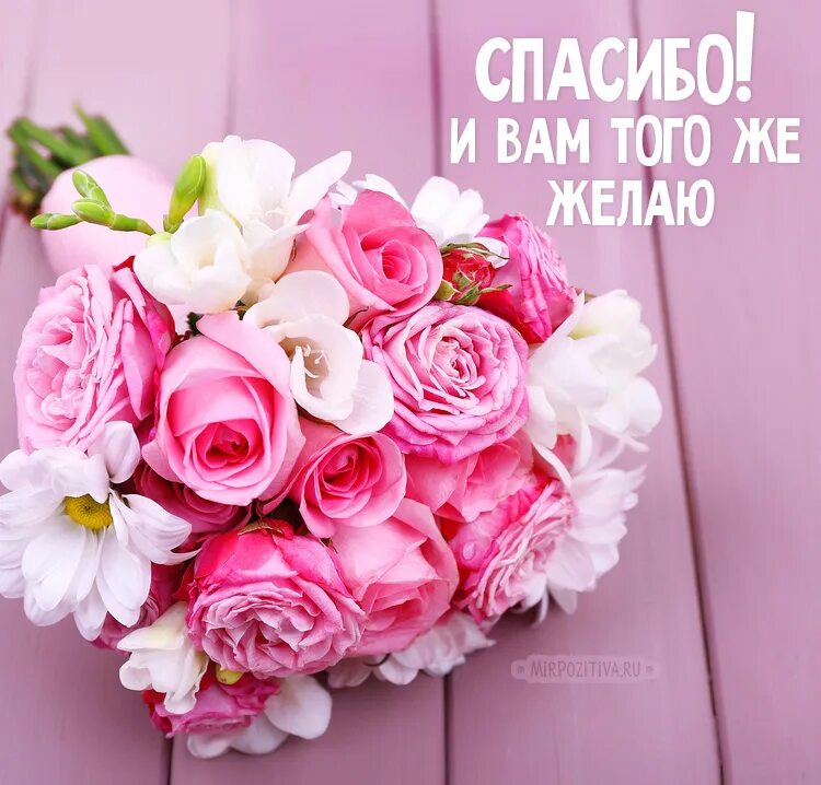 Спасибо и вас с праздником. Спасибо и вас с праздником