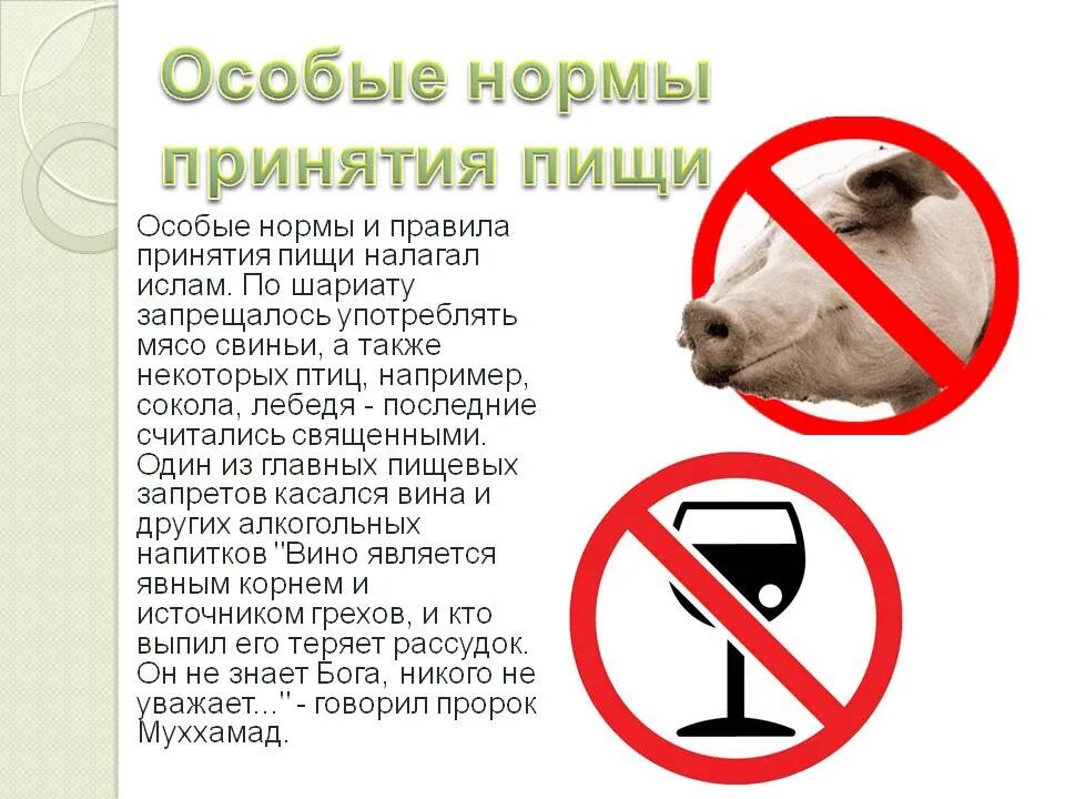 Почему нельзя собак в исламе. Пищевые запреты в исламе. запреты в еде в исламе. какое животное запрещено в исламе. какие животные мусульманам нельзя.