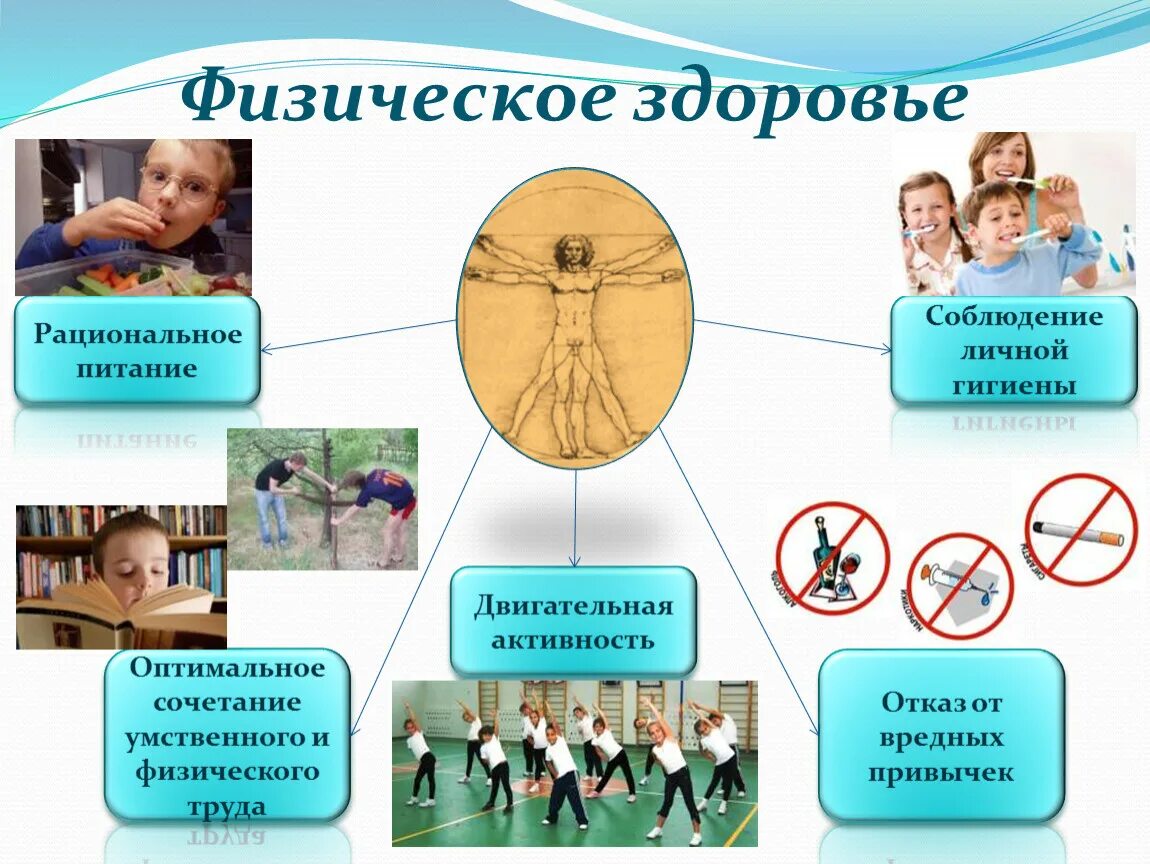 Общая информация о ребенке основы здорового. Физическое здоровье презентация. Психология здорового образа жизни. ЗОЖ В жизни человека. Сохранение здорового образа жизни.