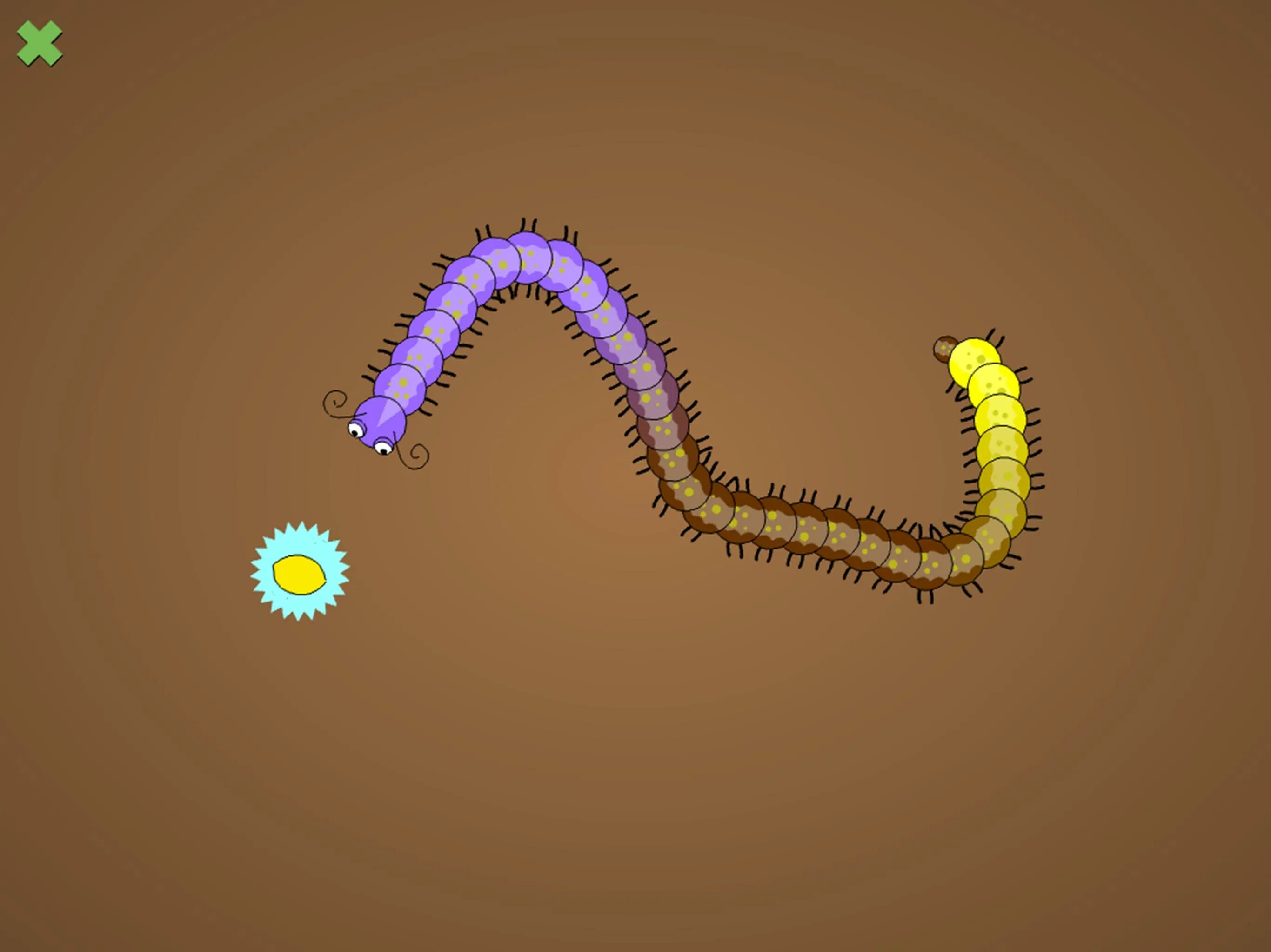 My worms