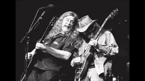 The allman brothers band