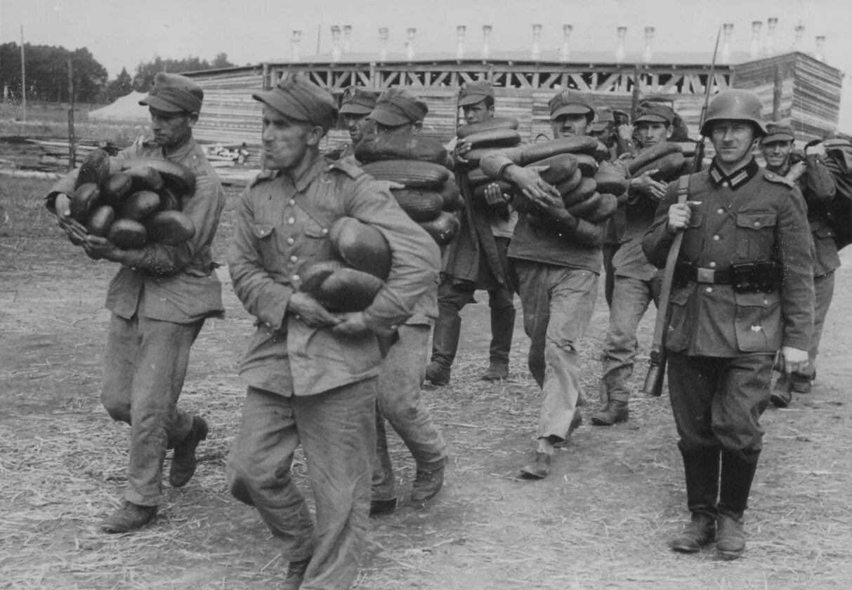 Во второй мировой приняли участие. Польская армия 1939 во второй мировой войне. Польские военнопленные 1939. Немецкие пленные Польша 1939. Пленные поляки 1939.