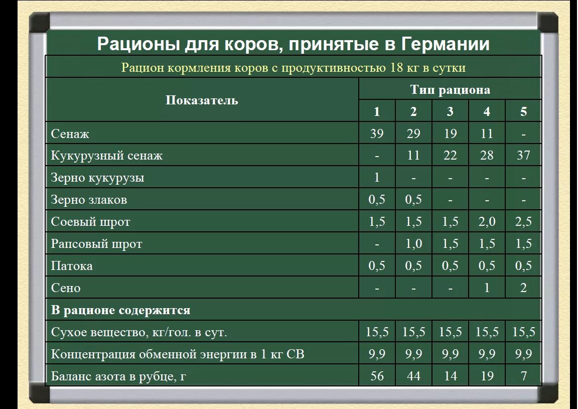 Что нужно давать корове