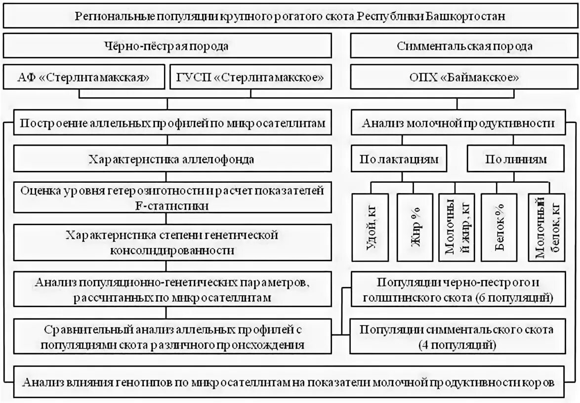 В популяции крупного рогатого скота частота. Аллелофонд популяции это. Микросателлиты КРС. Аллелофонд. Аллелофонда что это.