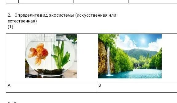Типы и виды экосистем. Тест естественные и искусственные экосистемы 7 класс. Сор по естествознанию 3 класс 2 четверть с ответами. Определи вид экосистем. Определите вид экосистемы естественная или искусственная.