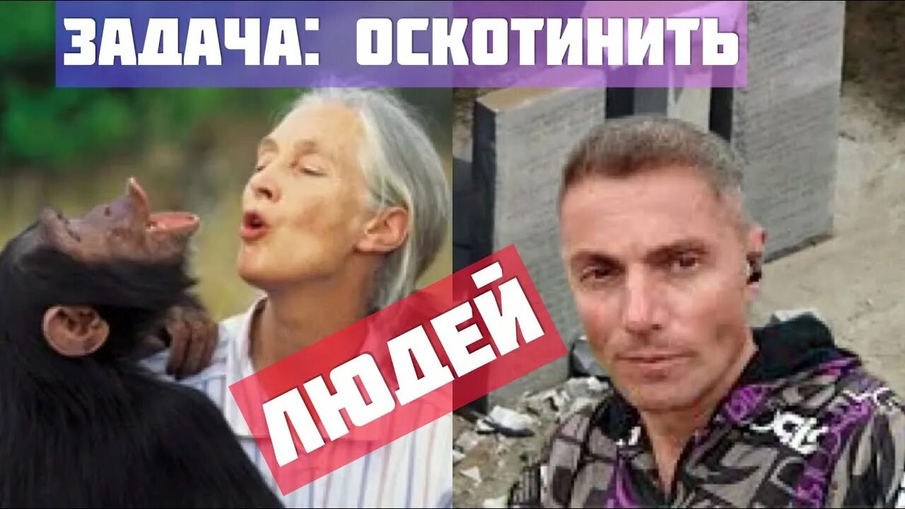 Канал вадима шегалова ютуб