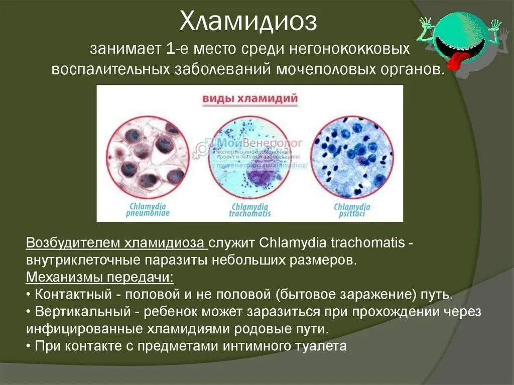 Хламидии chlamydia trachomatis. Хламидии - возбудители урогенитальных инфекций. хламидии микробиология заболевания. инфекционная форма хламидии.