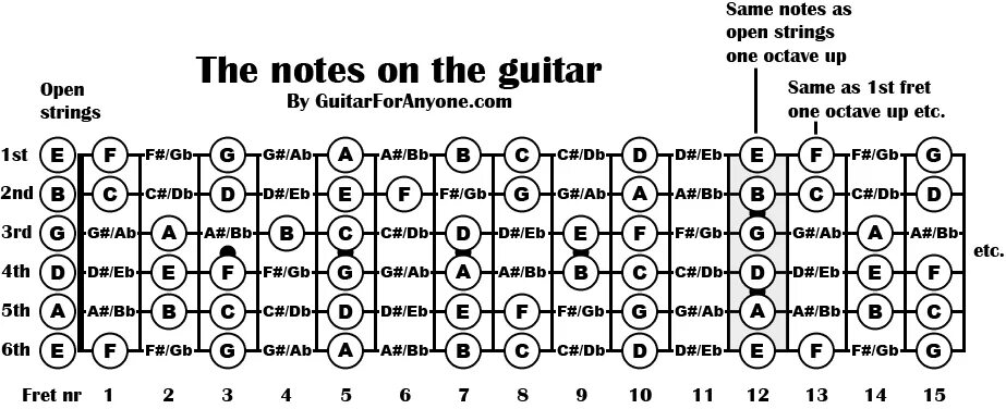 Abs notes