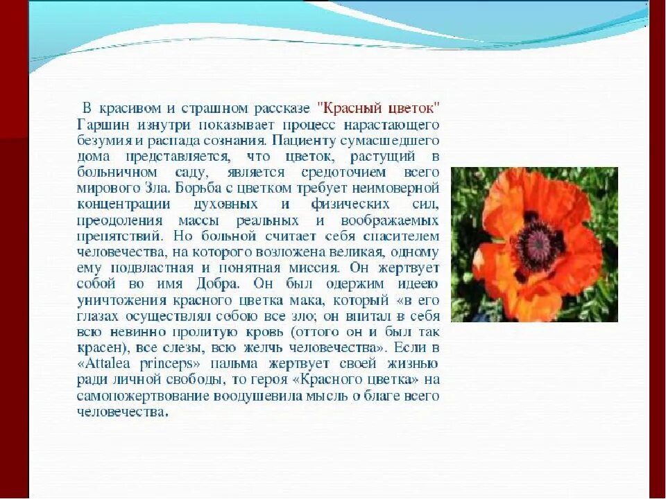 Гаршин в. "красный цветок". Рассказ красный цветок Гаршин. В.М. Гаршин красный цветок, рассказы. Красный цветок Гаршин краткое содержание.