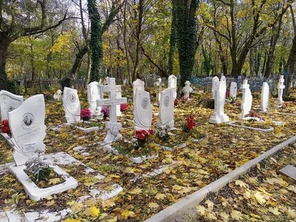 Даниловское кладбище ставрополь