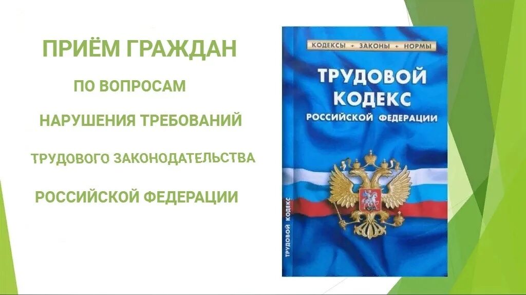 Фз от 30 декабря 2001 197. Трудовой кодекс Российской Федерации книга 2021. Трудовой кодекс Российской Федерации книга 2022. ФЗ В ТК РФ. Трудовой кодекс картинки.