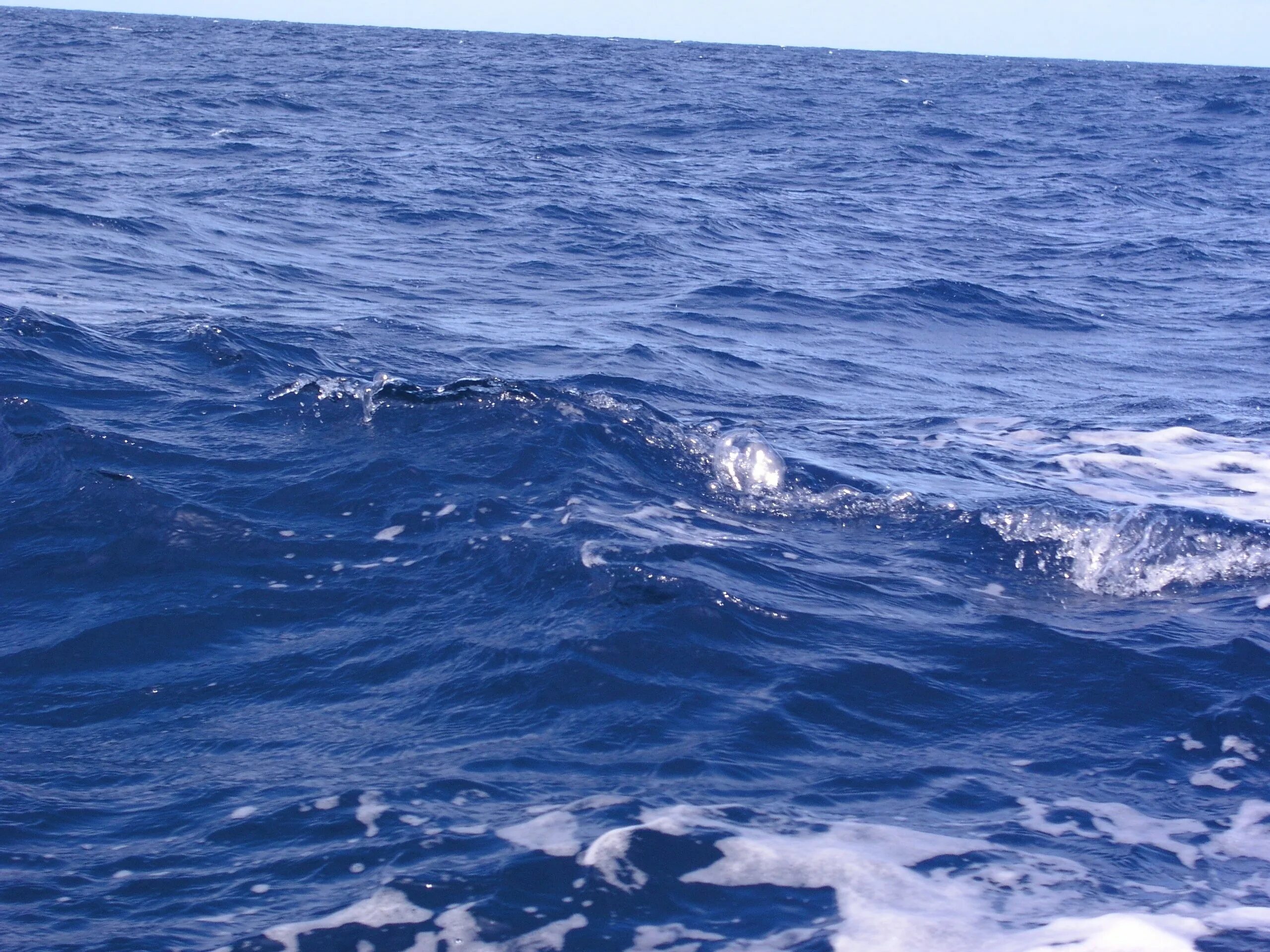 Поверхность воды тихого океана. Вода в Атлантическом океане. Атлантический океан. Воды Атлантического океа. Морская волна.
