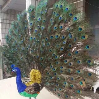 Авито декоративные