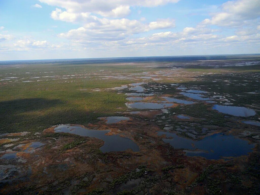 Самое большое болото васюганское. Западно Сибирская равнина Васюганское болото. Болото Васюган. Васюганские болота Томск. Васюганские болота, Сибирь.