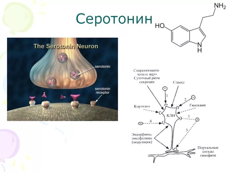 Серотонин для чего. Дофамин окситоцин серотонин Эндорфин кортизол. Серотонин гормон механизм действия. Схема выработки дофамина. Выработка гормона серотонина.