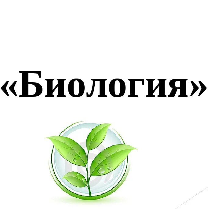 Урок биологии текст. Биология надпись. Бриология. Картинки по биологии. Урок биологии надпись.