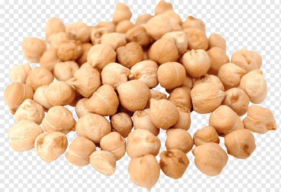 Нут Chickpeas. Горох нут натс. Нут (турецкий горох). Нохат горох. Сырой горох