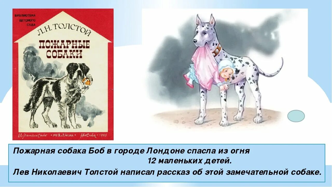 Толстой про собаку. Лев толстой пожарные собаки иллюстрации. Рассказ Льва Николаевича Толстого пожарные собаки. Иллюстрации к рассказу пожарные собаки л Толстого. Лев Николаевич толстой пожарные собаки быль.