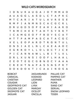Wordsearch