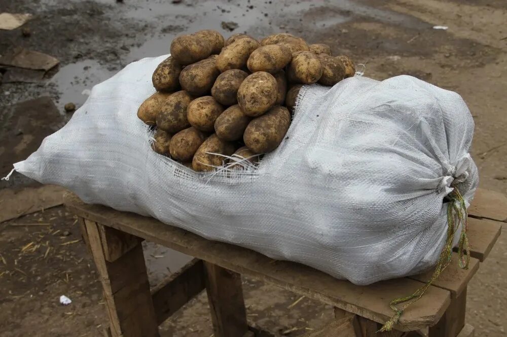 Мешок картошки сколько кг. Мешок картошки 50 кг. Картофель в мешках. Kartoshka v meshke. Белый мешок картошки.