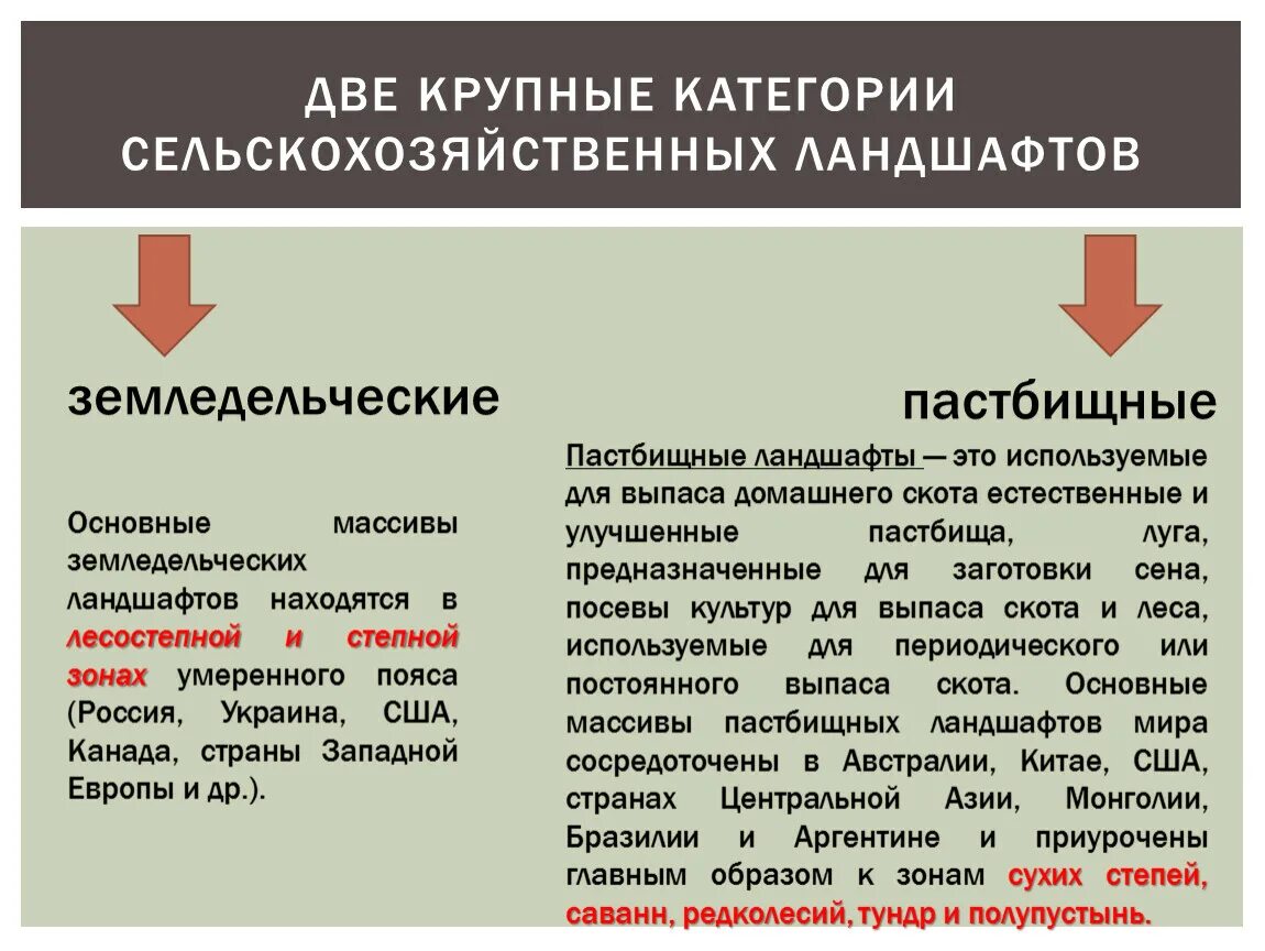 Объем производства мебели в россии. Нейрология строение и функции. Авторитое государство. Производственный капитал россии. Сосредоточена в центральном и.