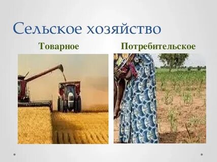 Сельское хозяйство 10 класс