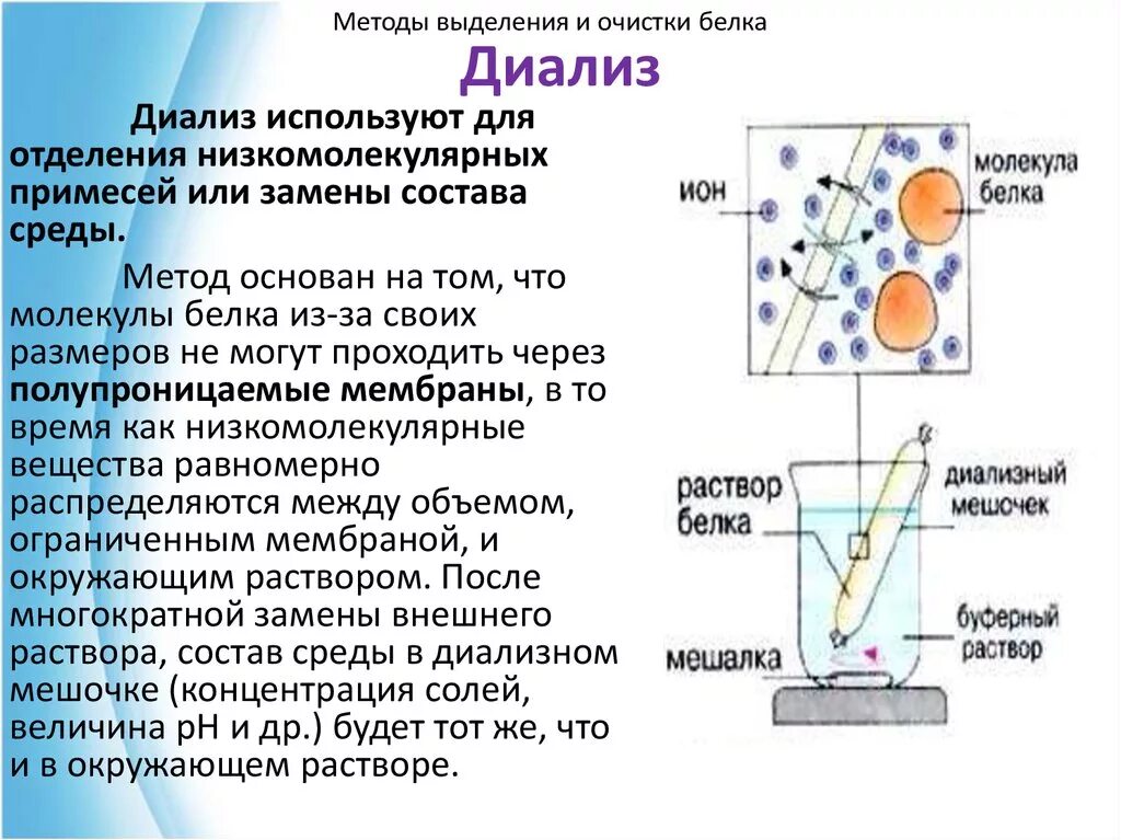 Этапы выделения белков. Очистка белков от низкомолекулярных примесей методом диализа. Диализ принцип метода. Диализ метод очистки белков. Диализ суть метода.