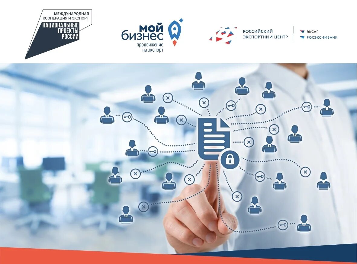 цифровая платформа профессионалы