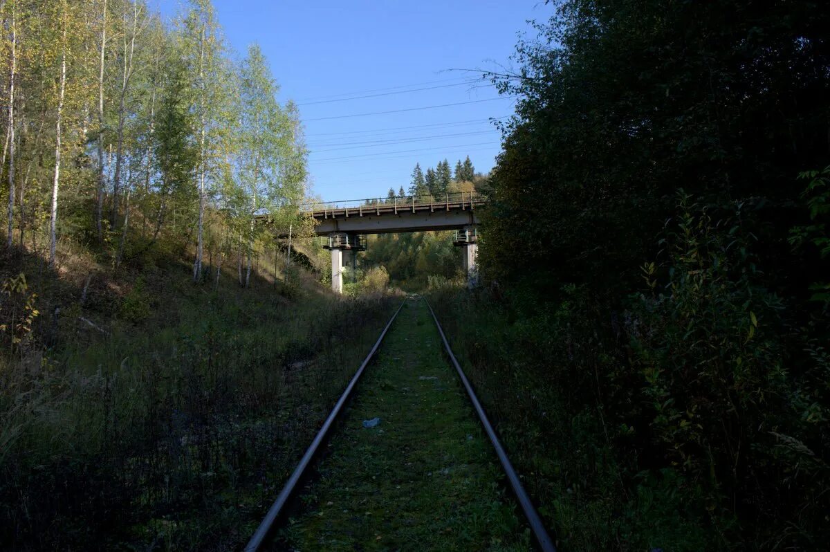 Эр2т 7131. Станция тучково. Эд4м белорусский ход тучково. Эд4м 0458. Белорусская тучково.