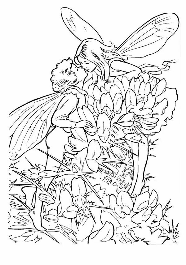 Color fairy