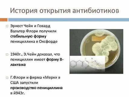 Открытие антибиотиков кратко