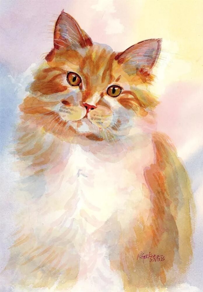 Как нарисовать кошку гуашью. Рыжий кот акварелью. кот живопись гуашь. котик акварелью. кот гуашью.
