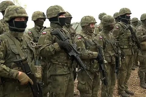 Польских наемников уничтожили