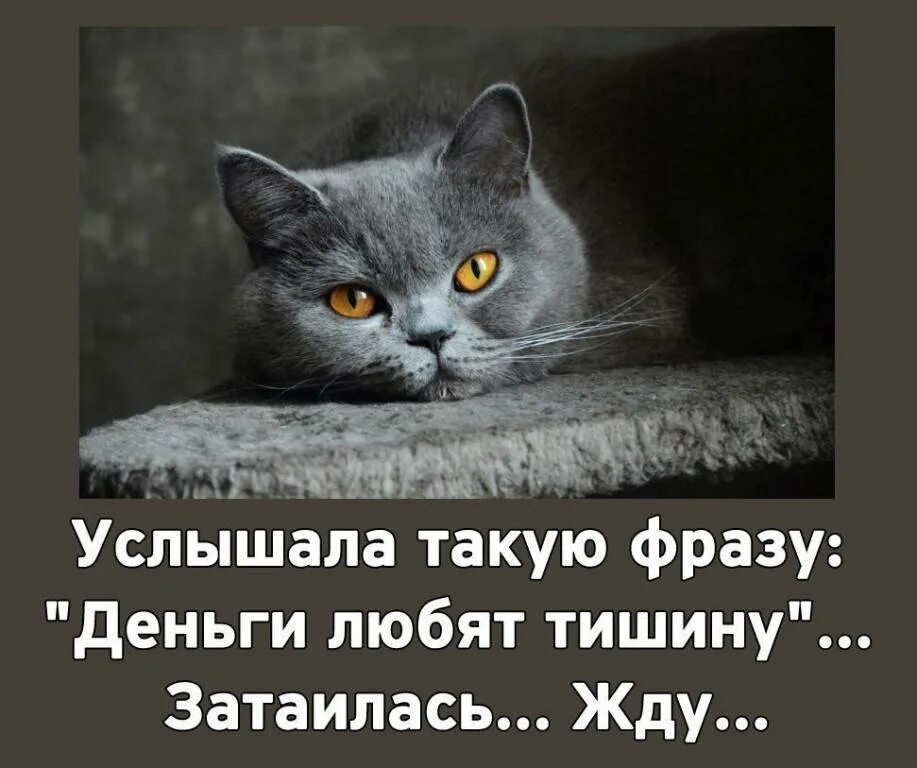 Интересно услышать