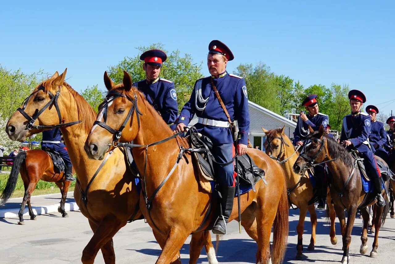 Казаки область войска донского. Вко всевеликое войско донское. Атаман донских казаков. Казаки всевеликого войска донского. Долуда- казаки- крым 2014.