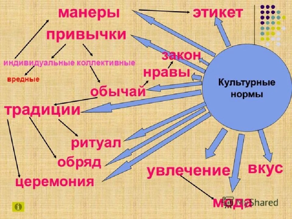 Многообразие норм. Культурные нормы. Виды норм в культуре. Культура и культурные нормы. Культурные ценности и нормы.