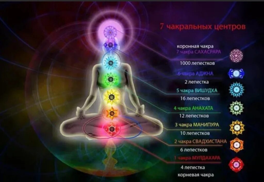 Энергоцентры чакры. Аджна муладхара анахата. Жизненные центры человека. Мантры чакр. Энергетические центры человека чакры.