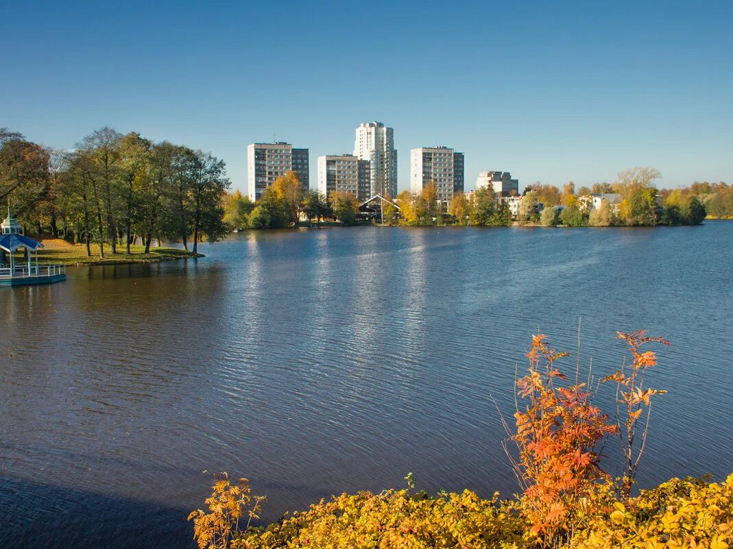 Сестрорецк в реальном времени. Сестрорецк курортная зона. Сестрорецк курортный район. Сестрорецк в реальном времени. Храм апостолов петра и павла сестрорецк зима.