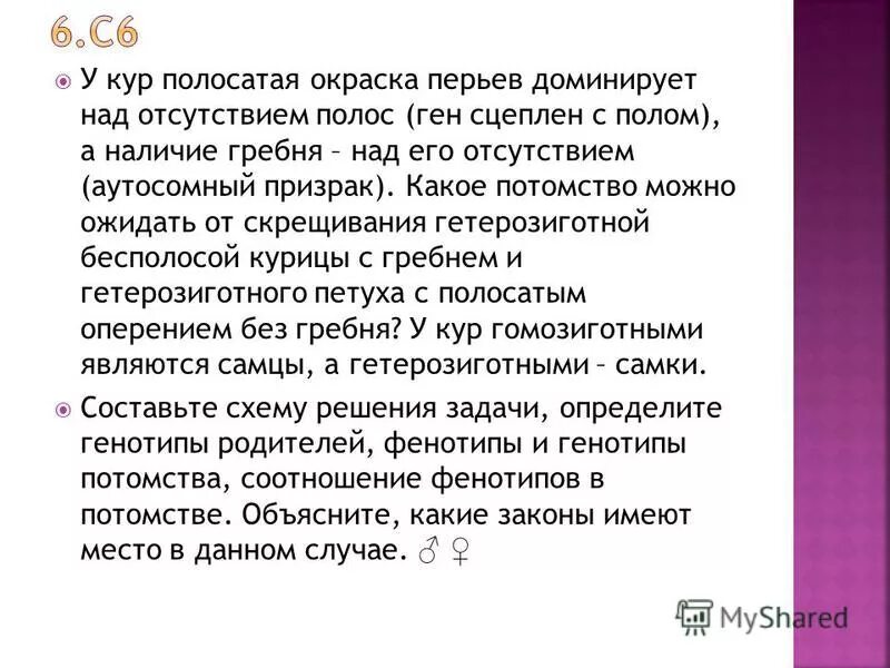 Гетерозиготную курицу с гребнем. Гетерозиготную курицу с гребнем