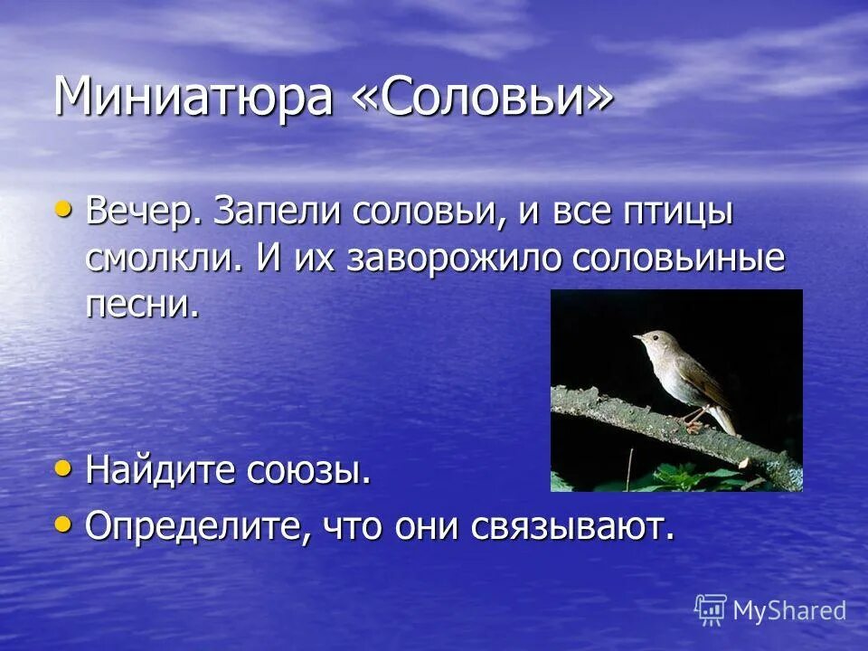 Все смолкло зато в зарослях запел соловей. Смолкли птицы. Смолкли птицы распространить предложение. Тихо и птицы смолкли. Что значит смолкли птицы.