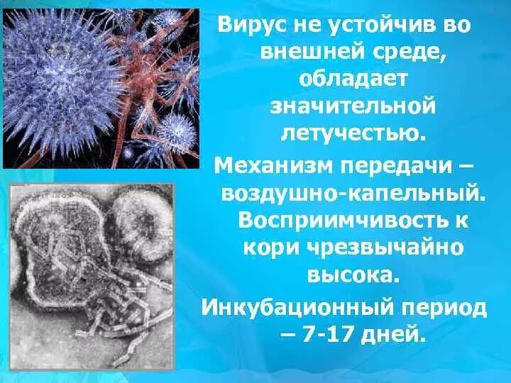 Механизм передачи инфекции при кори. Фекально-оральный способ передачи инфекции. Клещевой энцефалит механизм передачи. Механизмы и пути передачи цитомегаловируса. Классификация путей и механизмов передачи инфекции.