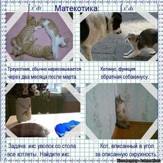 Писали в угол