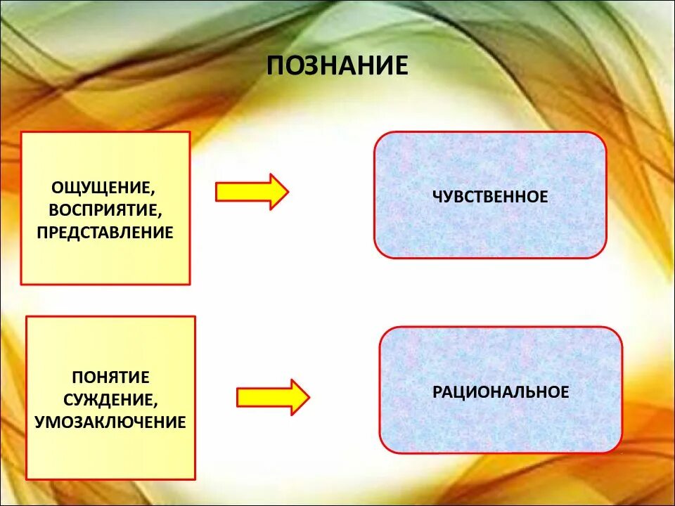 Ощущение и представление являются. Ощущение восприятие представление. ощущение восприятие суждение понятие представление. ощущение восприятие представление понятие суждение умозаключение. ощущение умозаключение восприятие представление.