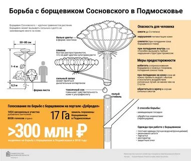 Карта борщевика сосновского