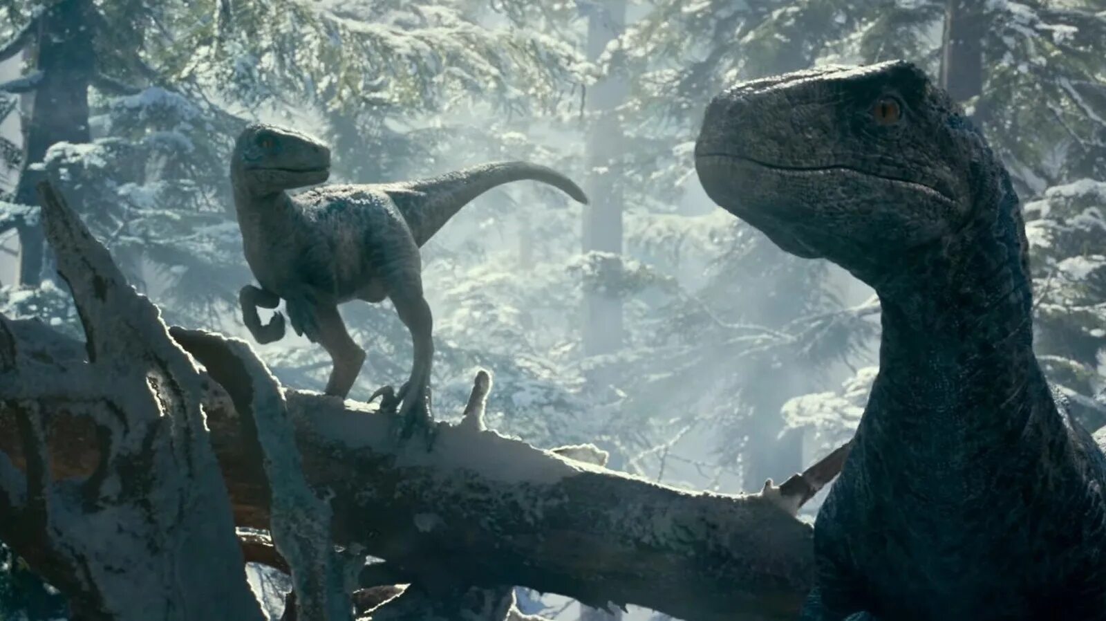 Юрский парк 2022. Jurassic world dominion 2022. Юрский период 3 трейлер. Большой трейлер мир юрского периода 3. Мир юрского периода 3 господство 2022.
