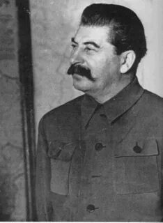 Сталин медведеву